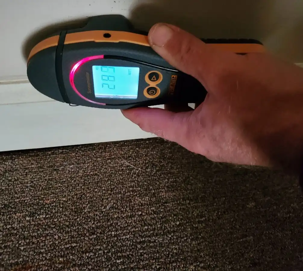 Moisture detection at baseboard during Mold Inspection & Testing in Brooklyn Park